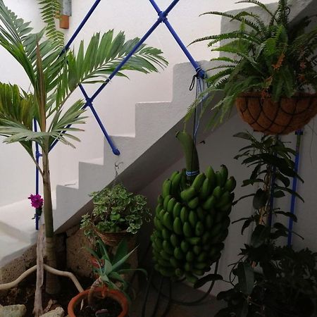 La Haciendita De La Casita Azul Пуэрто-де-ла-Крус Экстерьер фото